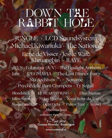 dtrh tickets|doune the rabbit hole 2024.